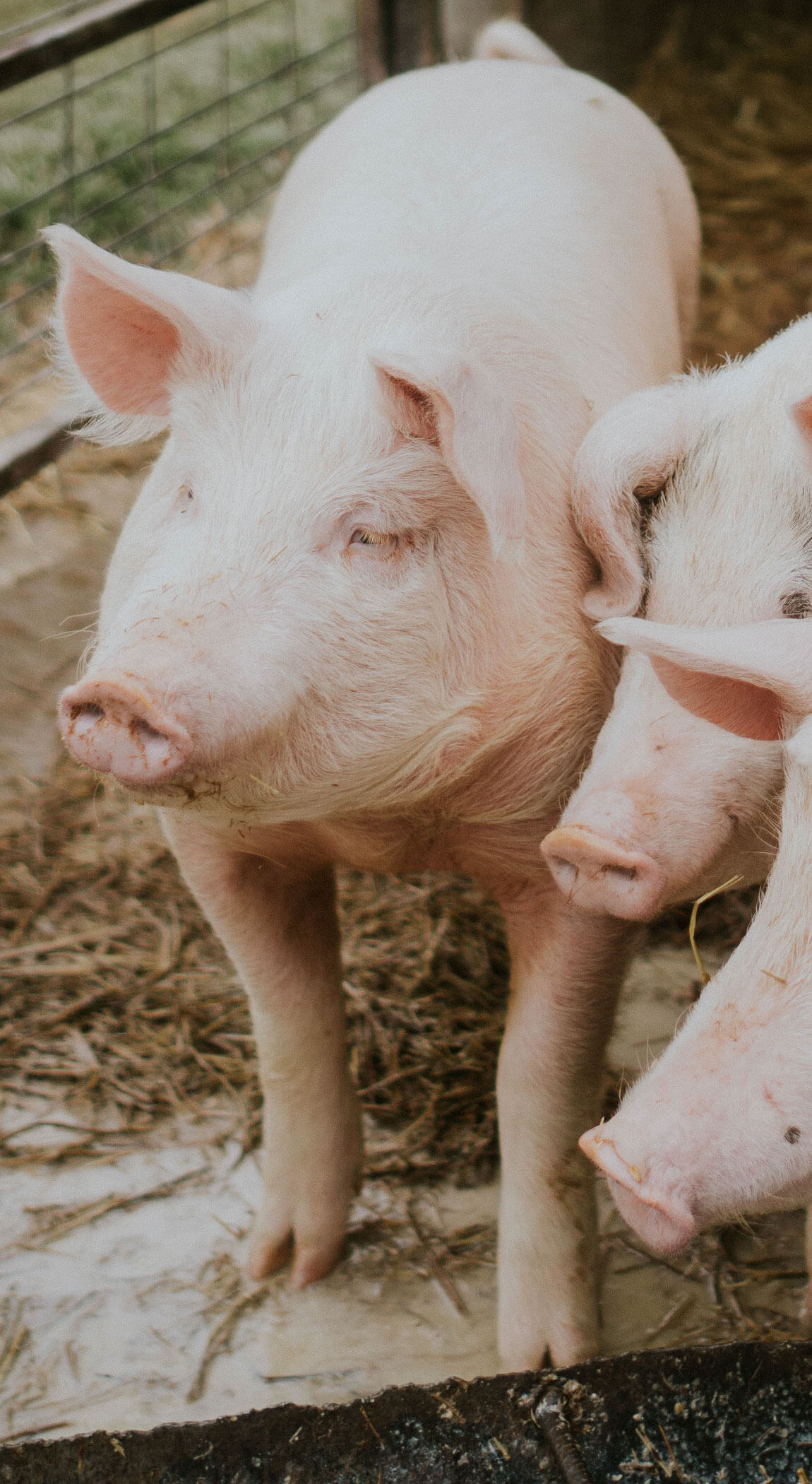 River Valley Woodworks Logo